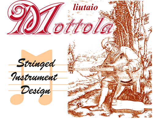 Liutaio Mottola Stringed Instrument Design