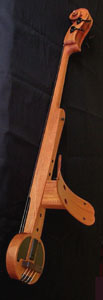 Back view