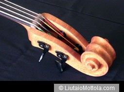 Scroll and pegbox