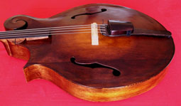 Bassola Acoustic Bass Guitar