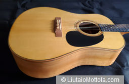 Paura Dreadnought Style Steel String Guitar